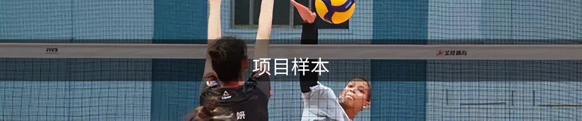 项目样本